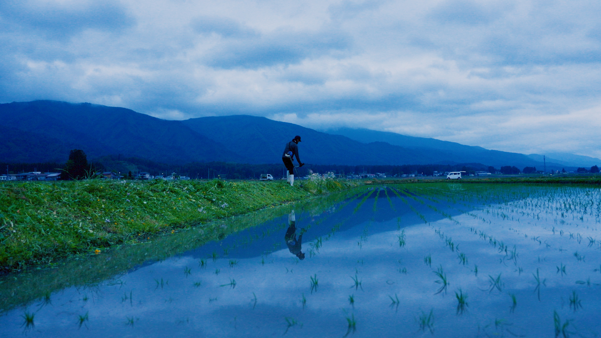 主食、崩壊危機。